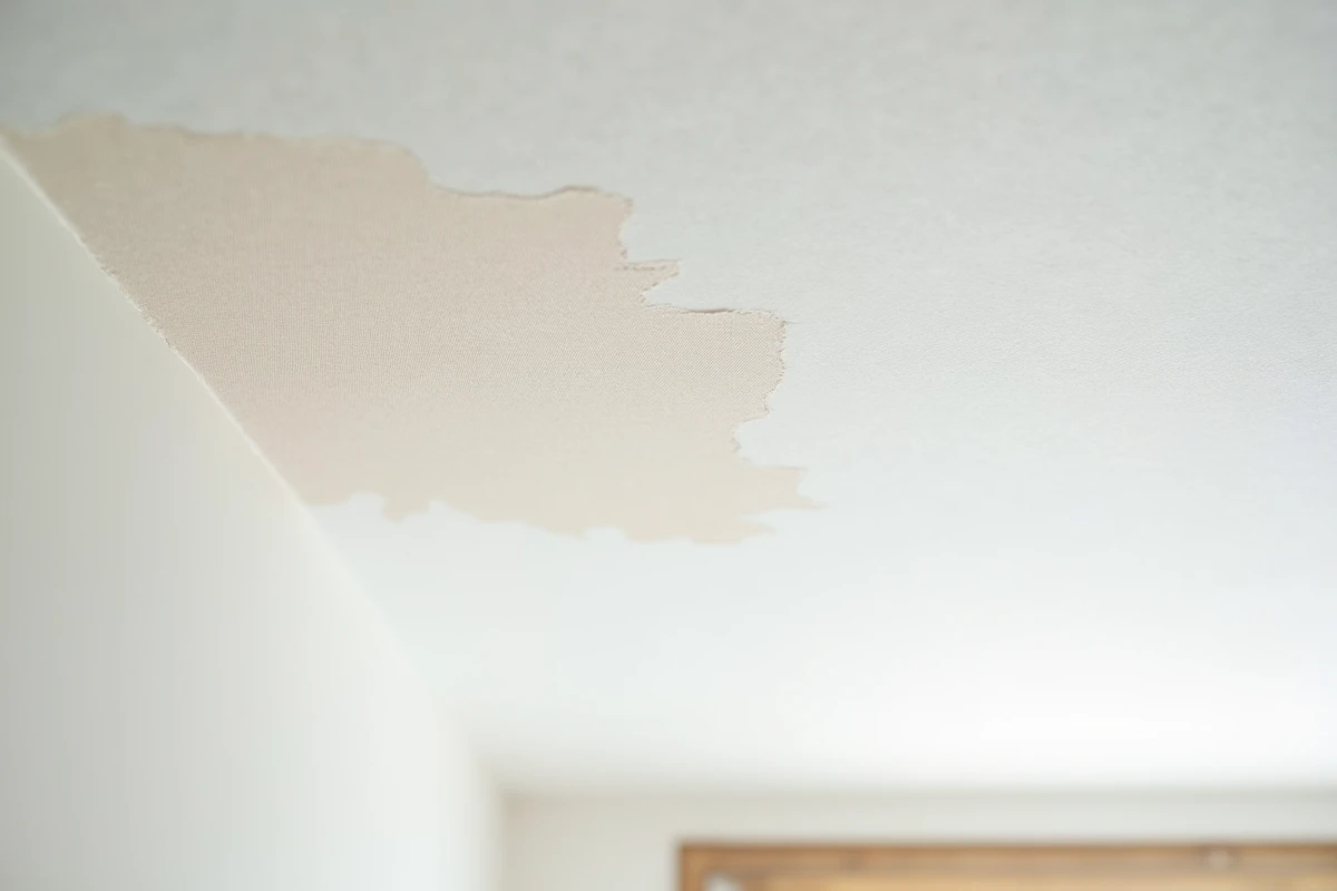 Gros plan sur la texture d'une toile enduit appliquée sur un plafond, montrant les détails du tissu et de l'enduit blanc